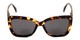 Front of The Stacey Bifocal Reading Sunglasses in Brown Tortoise/ Smoke