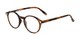 Angle of The Wonder in Matte Brown Tortoise, Women's and Men's Round Reading Glasses