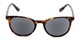 Front of The Woodstock Reading Sunglasses in Brown Tortoise with Smoke