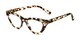 Angle of The Robin in Clear Tortoise, Women's Cat Eye Reading Glasses