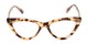 Front of The Robin in Tan Tortoise