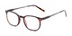 Angle of The Screenplay in Dark Brown Tortoise, Women's and Men's Retro Square Reading Glasses
