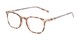 Angle of The Screenplay in Tan Tortoise, Women's and Men's Retro Square Reading Glasses