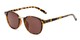 Angle of The Silas Reading Sunglasses in Tortoise with Amber, Women's and Men's Round Reading Sunglasses