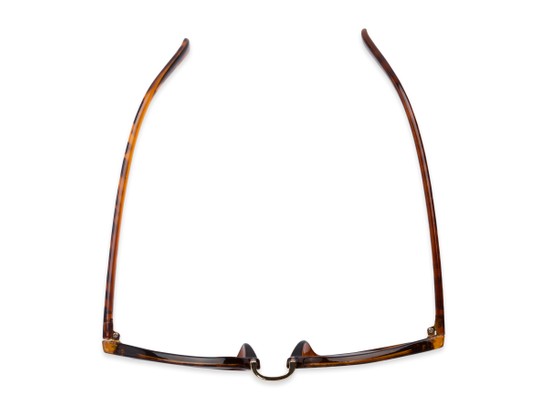 Overhead of The Silas Reading Sunglasses in Tortoise with Smoke