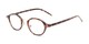 Angle of The Spring in Tortoise, Women's and Men's Round Reading Glasses