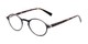 Angle of The Studio in Black and Tortoise, Women's and Men's Round Reading Glasses