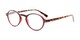 Angle of The Studio in Dark Red and Tortoise, Women's and Men's Round Reading Glasses