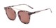 Angle of The Tenley Reading Sunglasses in Light Tortoise with Amber, Women's Square Reading Sunglasses