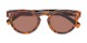 Folded of The Tupelo Reading Sunglasses in Glossy Tortoise with Amber