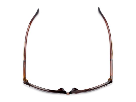 Overhead of The Wink Bifocal Reading Sunglasses in Brown with Smoke