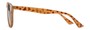 Side of The Zane Reading Sunglasses in Light Brown Tortoise with Smoke