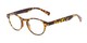 Angle of The Zealand in Matte Tortoise, Women's and Men's Round Reading Glasses