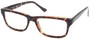 Angle of The Orange County in Tortoise, Women's and Men's  