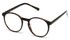 Angle of The Caesar in Glossy Black/Brown, Women's and Men's Round Reading Glasses