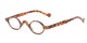 Angle of The Basil in Tortoise, Women's and Men's Oval Reading Glasses