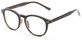 Angle of The Holden in Brown Tortoise, Women's and Men's Round Reading Glasses