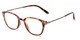 Angle of The Fable in Light Tortoise, Women's and Men's Retro Square Reading Glasses
