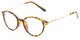 Angle of The Dorian in Tortoise, Women's and Men's Round Reading Glasses