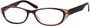 Angle of The Becca in Brown/Clear, Women's and Men's Retro Square Reading Glasses