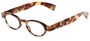Angle of The Raleigh in Brown/Red Tortoise, Women's and Men's Round Reading Glasses