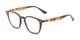 Angle of The Calloway in Dark Brown/Tortoise, Women's and Men's Retro Square Reading Glasses