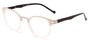 Angle of The Wisteria in Matte Clear/Silver, Women's and Men's Round Reading Glasses