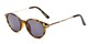 Angle of The Geller Reading Sunglasses in Tortoise/Gold with Smoke, Women's and Men's Round Reading Sunglasses