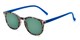 Angle of The Samber Reading Sunglasses in Tortoise/Blue with Green Lenses, Women's and Men's Round Reading Sunglasses