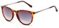Angle of The Beale Bifocal Reading Sunglasses in Tortoise and Grey/Smoke, Women's and Men's Round Reading Sunglasses