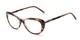 Angle of The Rothschild Signature Reader in Brown, Women's Cat Eye Reading Glasses