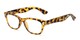 Angle of The Himes in Tortoise, Women's and Men's Retro Square Reading Glasses