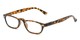 Angle of The Sunset in Tortoise, Women's and Men's Rectangle Reading Glasses